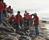 Eco Green, OJK Bali Lakukan Aksi Bersih Pantai
