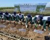Tanam 6.300 Bibit Mangrove Pelindo Diharapkan Bantu Daerah Lain di Bali