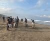 Dukung Pariwisata Berkelanjutan, BVA Gelar Bersih-bersih Pantai