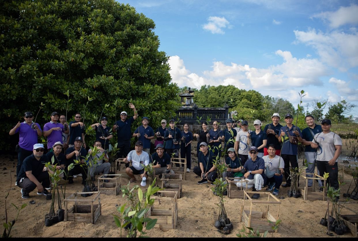Peduli Lingkungan, Sadara Resort Tanam 300 Pohon Mangrove di Pulau Pudut