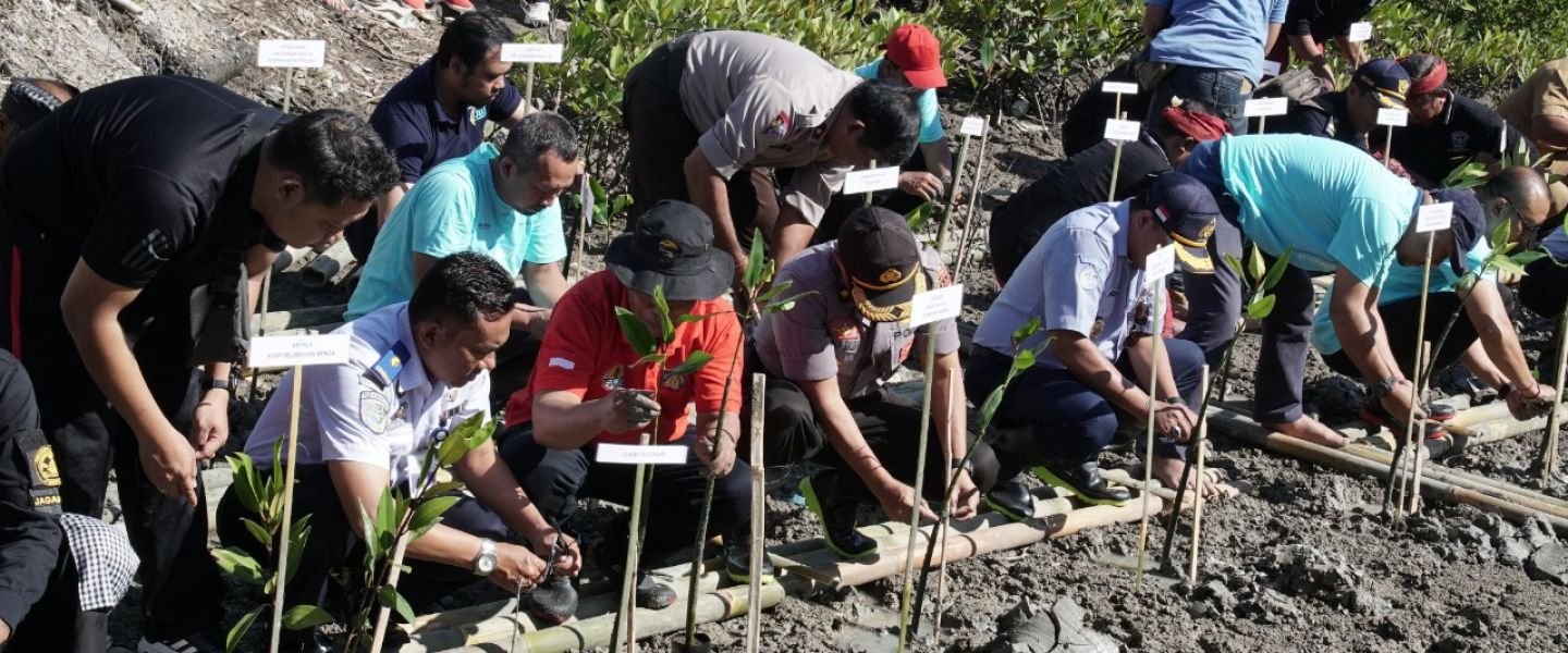Pelindo III Hijaukan Kawasan Mangrove Pesisir Pelabuhan Benoa