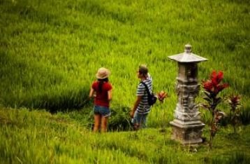 Lebih Fokus ke Fisik, Bali Diminta Gagas Konsep Pembangunan Jiwa