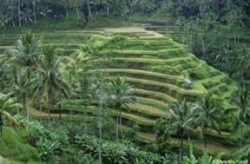Bangun Pariwisata Yang Berkualitas Perlu Empat Komponen