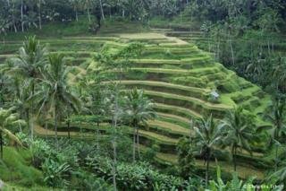 Bangun Pariwisata Yang Berkualitas Perlu Empat Komponen