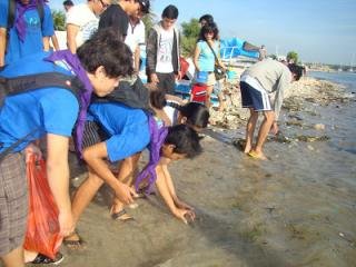 Ratusan Tukik Dilepaskan Menyemarakkan Sanur Village Festival ke 9