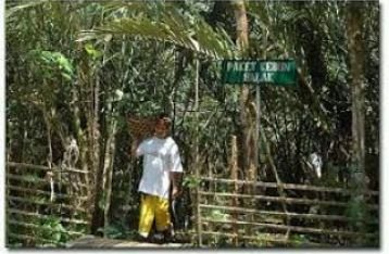 Kebun Salak Sibetan