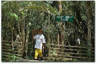 Kebun Salak Sibetan