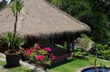 Villa Cepaka