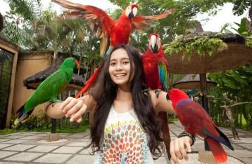 3 Tempat Wisata di Bali untuk Anak-Anak: