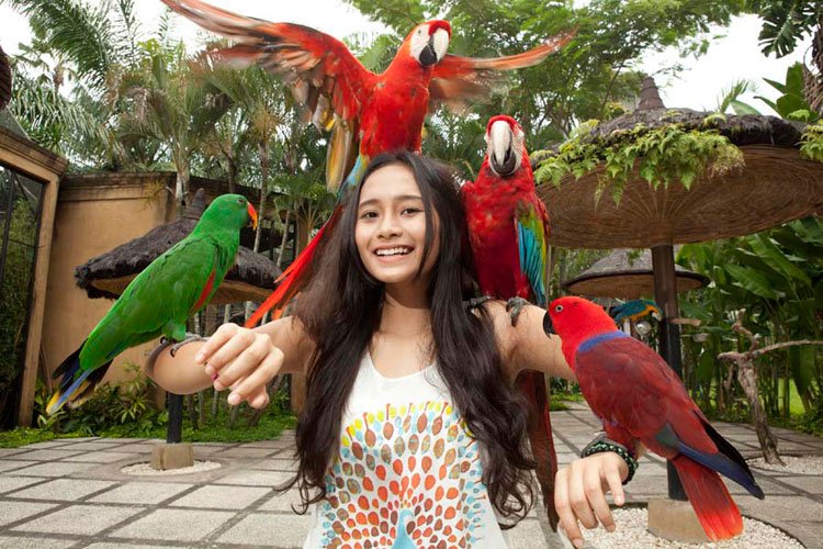 3 Tempat Wisata di Bali untuk Anak-Anak:
