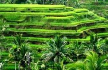 Tempat Wisata Di Bali