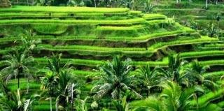 Tempat Wisata Di Bali