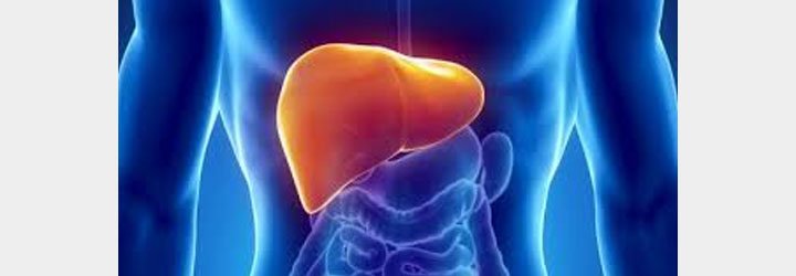 1954 - Transplantasi Organ Hati yang Pertama Dilakukan oleh Dokter Murray dan Harrison di Boston