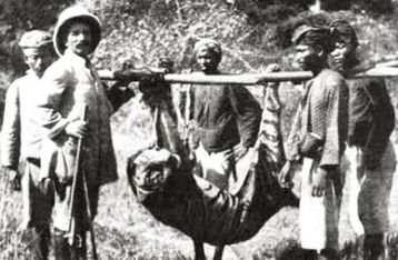 1937 - Seekor harimau yang diyakini sebagai satu-satunya harimau Bali yang tersisa, mati tertembak