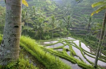 Bali Destinasi Terbaik di Asia, Tapi Dianggap Murah
