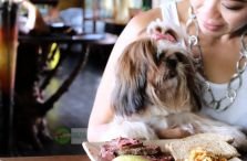 4 Restaurant Favorit Bagi Pemilik Anjing di Bali
