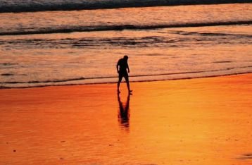 Industri Perjalanan Pariwisata Diharapkan Memikirkan Strategi Market