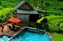 Wisatawan Yang datang ke Bali 20 Persen Menginap di Villa
