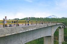 Jalan - Jalan ke Jembatan Bangkung, Plaga